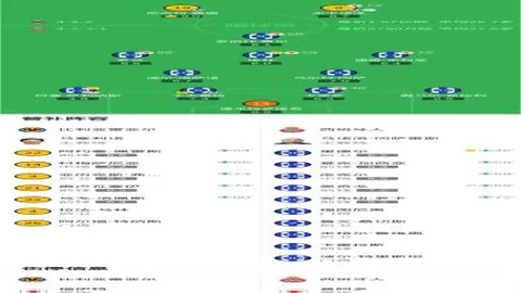 李平康泰山球迷急需款项，同时望捐肝救急：紧急呼吁行动